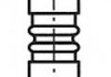 Клапан выпускной R6186/BM FRECCIA