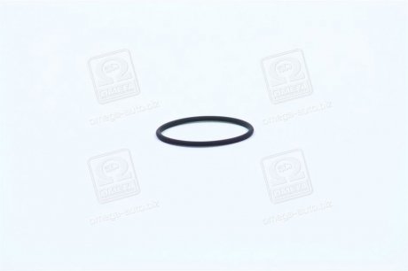 Опорное кольцо BOSCH F00RJ00220 (фото 1)