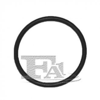 Уплотнительное кольцо/FPM 21,20 x 24,20 x 1,50 black Fischer Automotive One (FA1) 076.408.100 (фото 1)