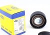 Натяжной ролик, поликлиновой ремень MAGNETI MARELLI 331316170116 (фото 1)