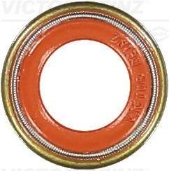 Уплотнительное кольцо, стержень кла VICTOR REINZ 70-36004-10 (фото 1)