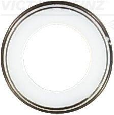 Уплотнительное кольцо, стержень кла VICTOR REINZ 70-20423-00 (фото 1)