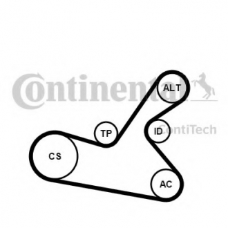 Комплект поликлинового ремня Contitech 6PK1125K1 (фото 1)