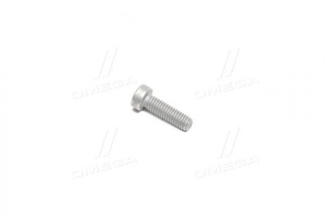 Гвинт з циліндричною гол (вир-во) BOSCH F00N202191 (фото 1)