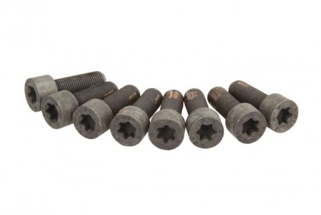 Комплект болтов маховика SACHS 1874000005 (фото 1)