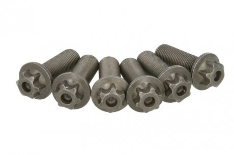 Комплект болтов маховика SACHS 1874000045 (фото 1)
