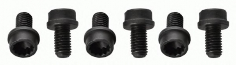 Комплект болтов маховика SACHS 1874000057 (фото 1)