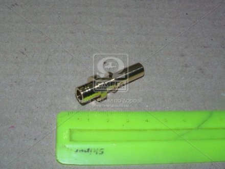 Елемент насосу Common Rail F 01M 100 176 BOSCH F01M100176 (фото 1)