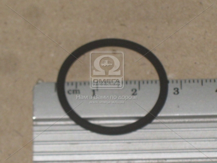 Уплотнительное кольцо BOSCH 2410210004 (фото 1)