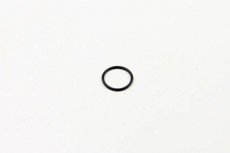 Уплотнительное кольцо BOSCH F00VC38045 (фото 1)