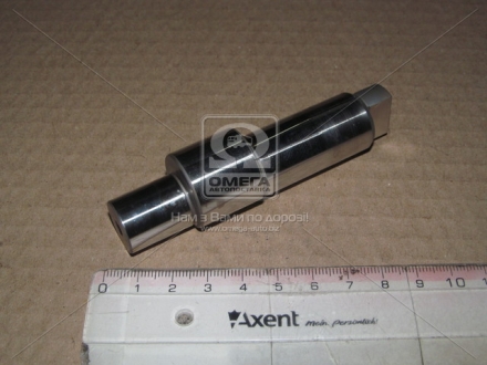Эксцентриковый вал BOSCH F01M100285 (фото 1)