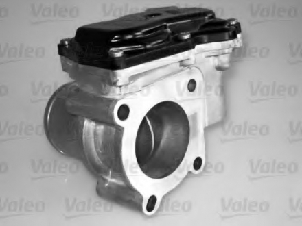 Дроссельная заслонка Valeo 700431 (фото 1)