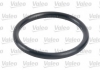 Фільтр паливний ASIA MOTORS/HYUNDAI/SUZUKI Rocsta/Porter/Grand Vitara "1,7-3,1 "80>> Valeo 587707 (фото 1)