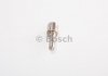 Распылитель BOSCH 0433171963 (фото 1)