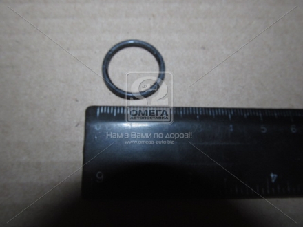 Елемент насосу високого тиску 9 442 610 140 BOSCH 9442610140 (фото 1)