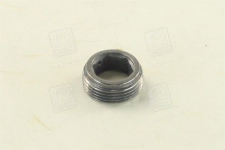 Елемент форсунки Common Rail DIESEL BOSCH F00RJ00840 (фото 1)