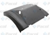 Крыло заднє PACOL DAFRM001W (фото 1)