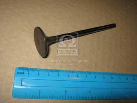 Клапан выпускной EX FORD/MAZDA 2.0 16V AODA/LF 30X5.5X104.6 KOLBENSCHMIDT 181109 (фото 1)
