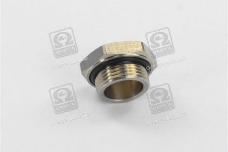 Різьбова пробка з кільцем ущільнювача M 22x1.5 RIDER RD 99.01.93 (фото 1)