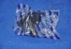 Шаровая опора DAEWOO LEGANZA(V100) PARTS-MALL PXCJC-007 (фото 5)