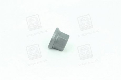 Гайка М22x1,5x27 SW32 колеса BPW, MB, SAF RIDER RD 20.80.35 (фото 1)