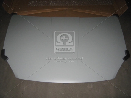 Капот CHERY ELARA 06-11 TEMPEST 015 0100 280C (фото 1)