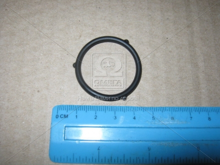 Кольцо уплотнительное крышки ГРМ 1AR-FE/2AR-FE TOYOTA 1519336010 (фото 1)