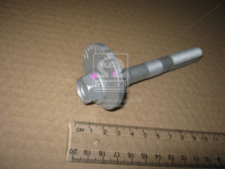 Болт підвіски TOYOTA 481900K010 (фото 1)