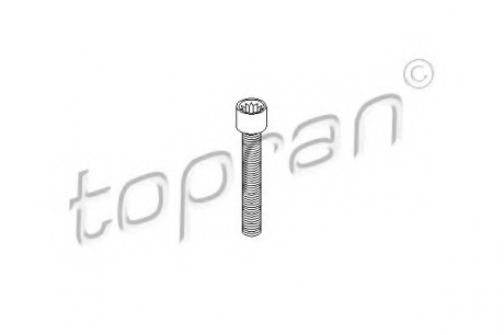 Болт 104 306 TOPRAN / HANS PRIES 104306 (фото 1)