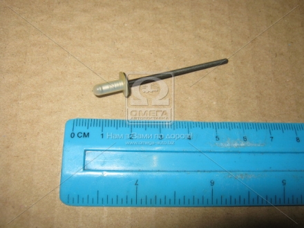 Заклепка лючка бензобака TOYOTA 9026904053 (фото 1)