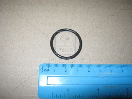 Кольцо уплотнительное 96721-24025 / TOYOTA 9672124025 (фото 1)