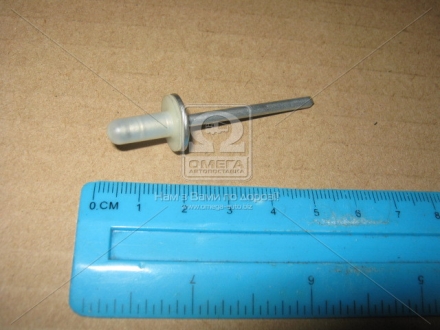 Заклепка TOYOTA 9026906013 (фото 1)