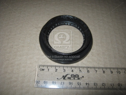 САЛЬНИКИ 50*72.5*10*18.3 Y61 TB48 NISSAN 33142-01J10 (фото 1)