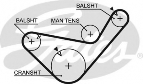 Ремінь балансировочного вала Gates 5456XS (фото 1)