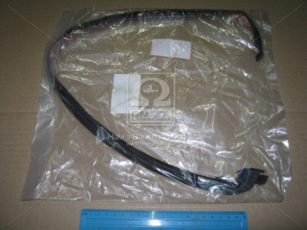 Резинка уплотняющая задней двери TOYOTA 6789660040 (фото 1)