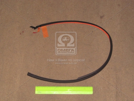 Резинка уплотняющая задней двери TOYOTA 6789660030 (фото 1)