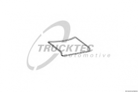 Уплотнитель двери TRUCKTEC 0253031 (фото 1)