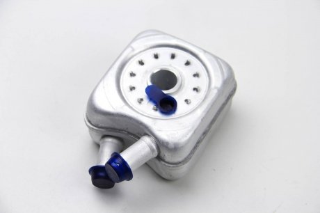 Радиатор масла 2.5TDI LT 96-06/T4 98-03/Crafter 06- (под фильтр) BSG BSG90506003 (фото 1)