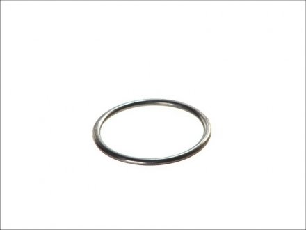 Уплотнительное кольцо, труба выхлопного газа BOSAL 256-170 (фото 1)