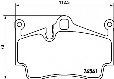 Комплект тормозных колодок, дисковый тормоз TEXTAR 2454101 (фото 1)