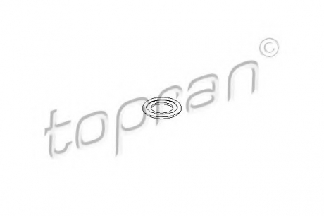 Уплотнительное кольцо, резьбовая пр TOPRAN / HANS PRIES 206 622 (фото 1)