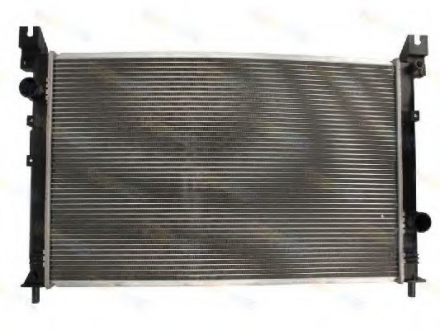 Радіатор THERMOTEC D7Y029TT (фото 1)