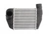 Радиатор охлаждения воздуха THERMOTEC DAA013TT (фото 1)