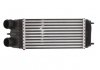 Радиатор охлаждения воздуха THERMOTEC DAC003TT (фото 1)