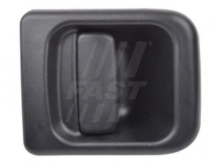 Ручка двери FAST FT94549 (фото 1)