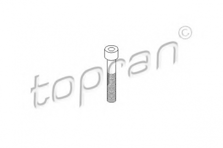 Болт, корпус скобы тормоза TOPRAN / HANS PRIES 110 708 (фото 1)