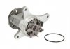 Водяной насос THERMOTEC D1P049TT (фото 1)