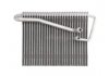 Испаритель THERMOTEC KTT150022 (фото 2)
