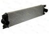 Інтеркулер THERMOTEC DAR002TT (фото 2)