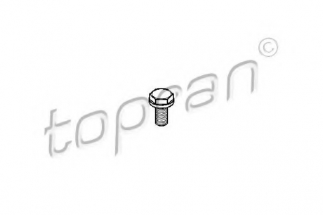 Болт маховика TOPRAN / HANS PRIES 110 260 (фото 1)